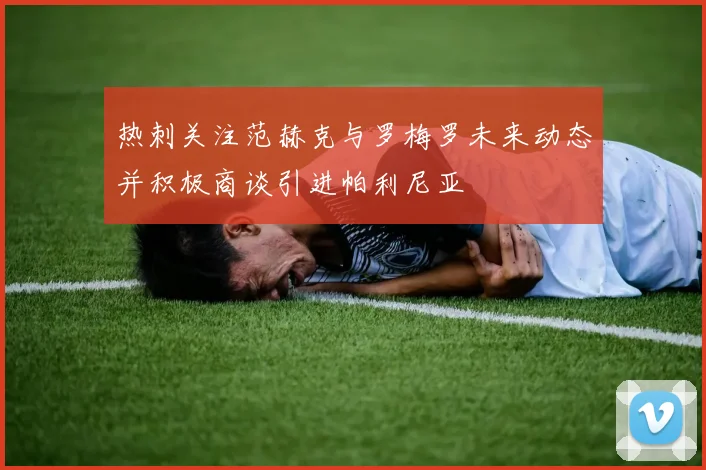 热刺关注范赫克与罗梅罗未来动态并积极商谈引进帕利尼亚